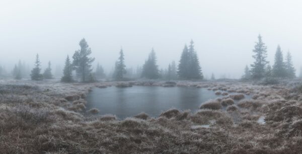 Tåkete panoramabilde av frostkledd myr tatt Nordseter